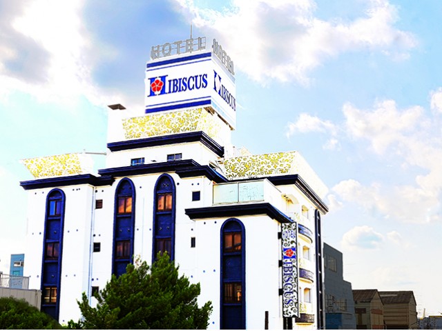 �ۥƥ� �ϥ��ӥ���������