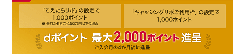 ⡹ޤǤ˥ȥ꡼ƼdݥȺ2,000ݥ